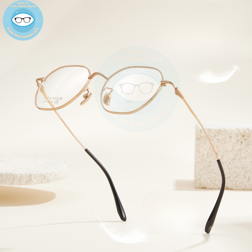 Gọng kính kim loại mã 6209